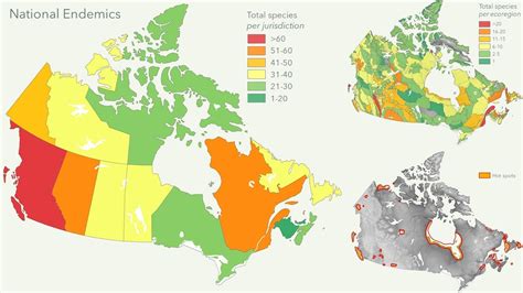 National Endemic Species In Canada And Ecologically Rich Hot Spots