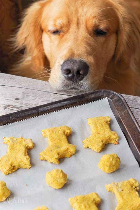 Simple Dog Biscuits