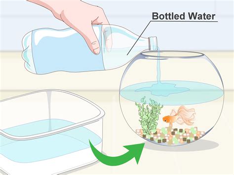 We are going to talk to you about several methods that will be very helpful to carry out this cache cleaning that we are talking about. How to Clean a Fish Bowl: 12 Steps (with Pictures) - wikiHow