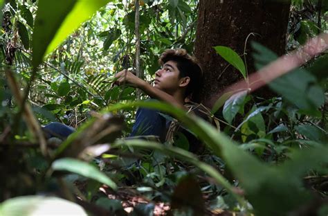 Profil Andrew Kalaweit Remaja Tahun Yang Dijuluki Tarzan Kalimantan