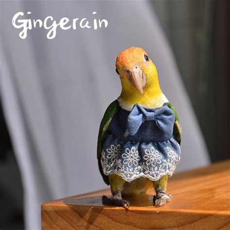 Gingerain Bird Clothes Parrot Lace Tutu Original Hand Made Custom