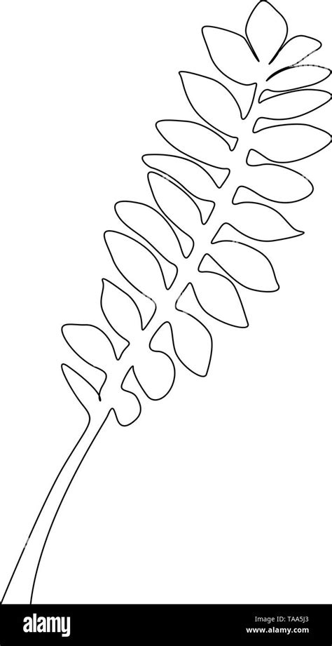 One Line Drawing Tropical Branch Leaf Continuous Line Exotic Tropical
