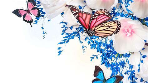 Aesthetic Butterfly Desktop Wallpapers Wallpaper Cave