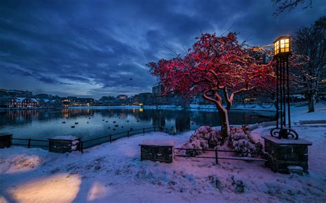 Free Download Hd Wallpaper Norway Rogaland Stavanger Winter Snow
