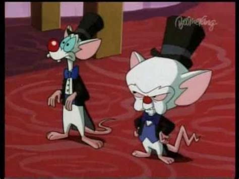 Pinky and the brain are invited to a dinner a the warners' water tower. Pinky & Brain - Song "Schmeerskahoven" - YouTube