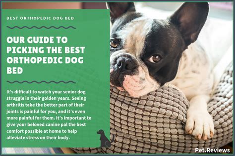 As someone who's been researching this for years, i'd like to first quickly introduce you to the right way of choosing the best dog foods for your specific dog. 11 Best Commercial Raw Dog Food Brands (Fresh, Frozen ...