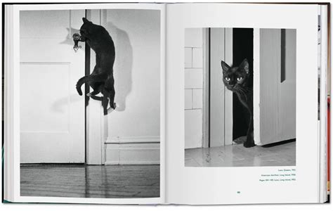 Taschen Books Walter Chandoha Cats Photographs 19422018