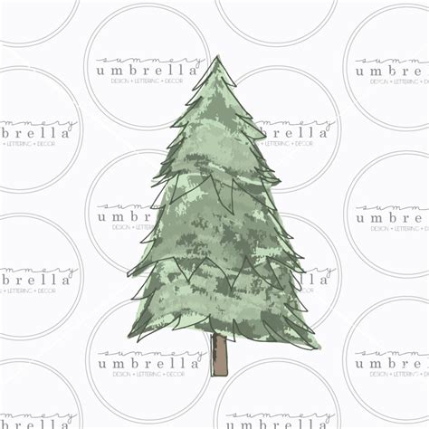 Christmas Tree Watercolor Vector Lz Cathcart
