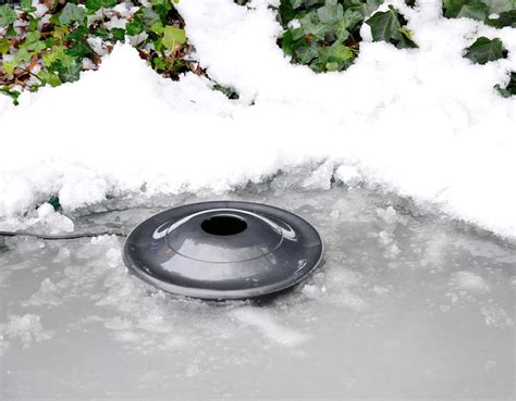 6 Best Pond Heaters Reviewed Winter 2023