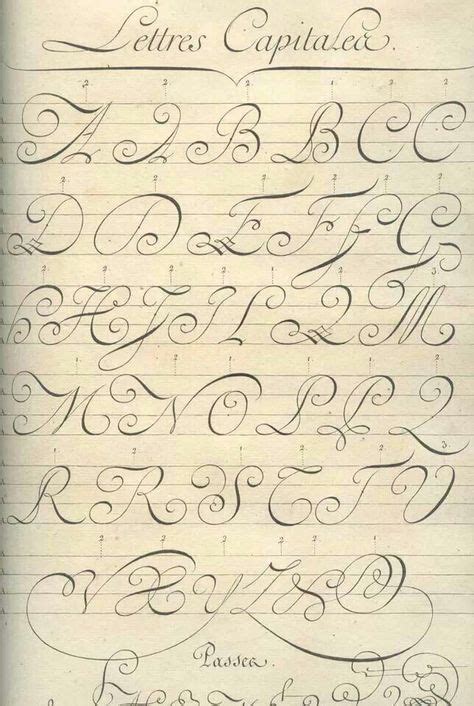 Las mejores imágenes de Plumas de caligrafía en Caligrafía Caligrafia pluma y Letras