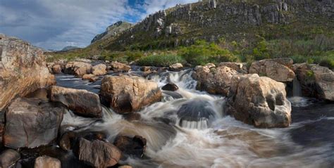 Kogelberg Nature Reserve Overberg South Africa