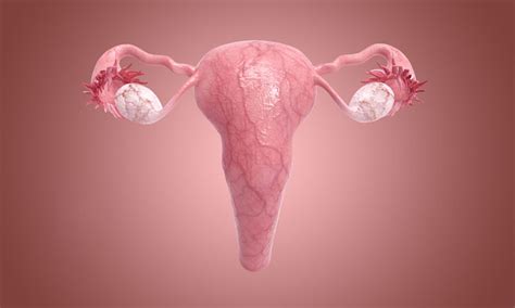 Ovarian Cancer Risks May Be Lowered With Aspirin Epr