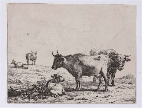 Lot Detail Old Master Etching A Cow Bull And A Calf