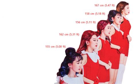 Who Are The Tallest And Shortest Red Velvet Kpopmap Vlr Eng Br