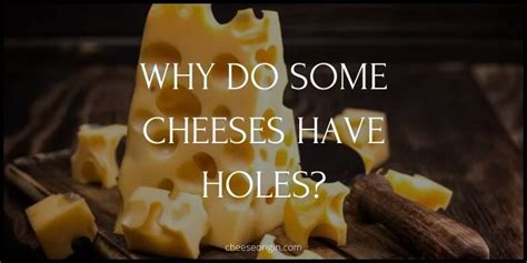 Why Do Some Cheeses Have Holes Cheese Origin
