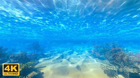 4k Uhd Cozy Underwater Ambience Underwater Sounds For Sleep Swimming Underwater Asmr Youtube