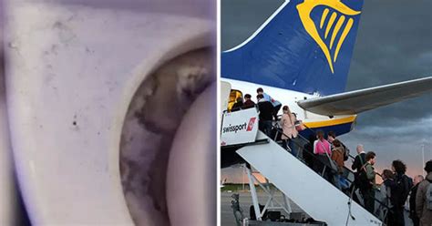 Ryanair Passenger Makes Grim Discovery After Entering Plane Toilet Mid Flight Daily Star