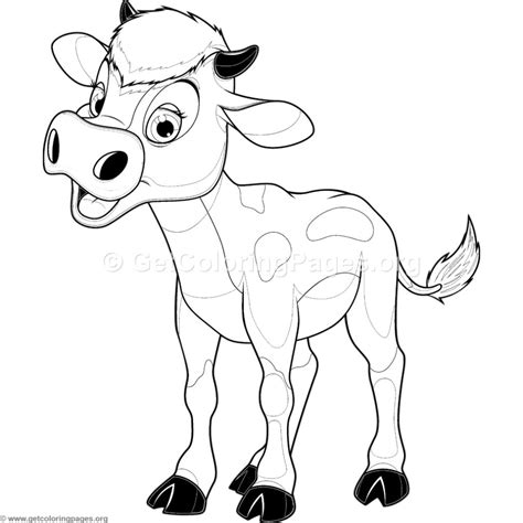 This is a breed of cow that is called beef. Baby Cow Coloring Pages - GetColoringPages.org