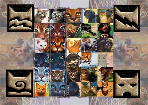Warrior Cats Wallpapers Desktop Wallpaper Cave
