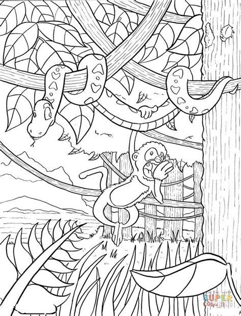 Rainforest Coloring Page Free Printable Coloring Pages Jungle