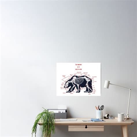 Grizzly Bear Anatomy Poster For Sale By Conortravers Redbubble