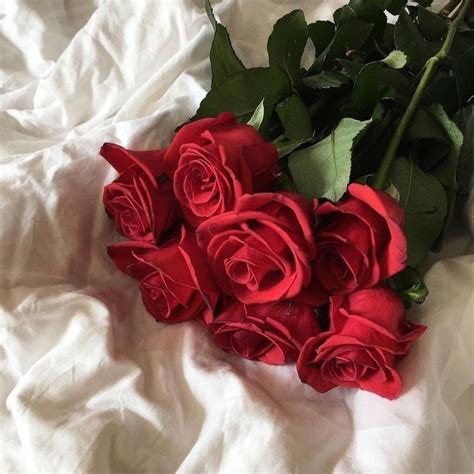 Red Roses Aesthetic Roses Red Aesthetic Grunge Red Roses
