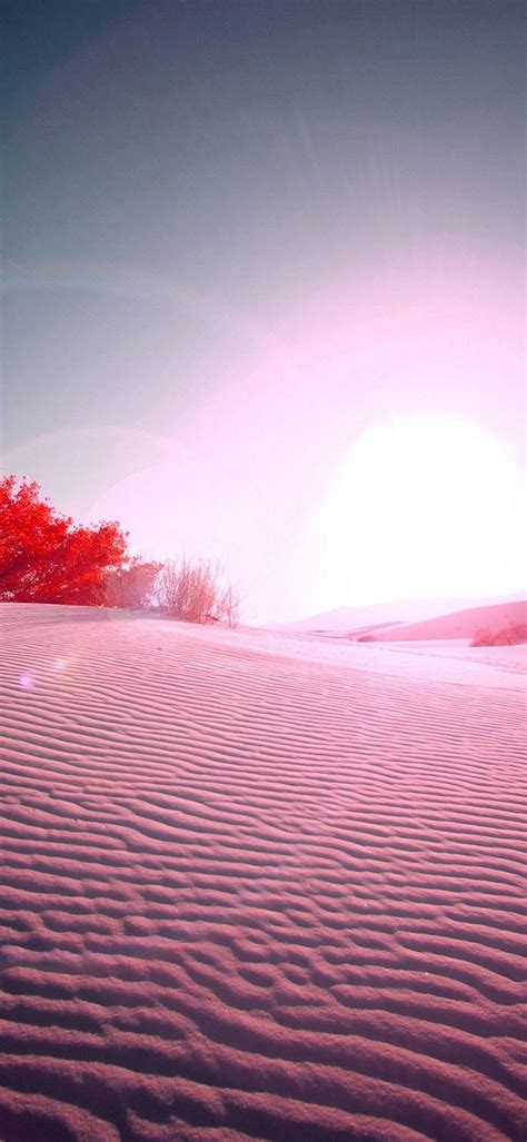 Pink Desert 1080x2340