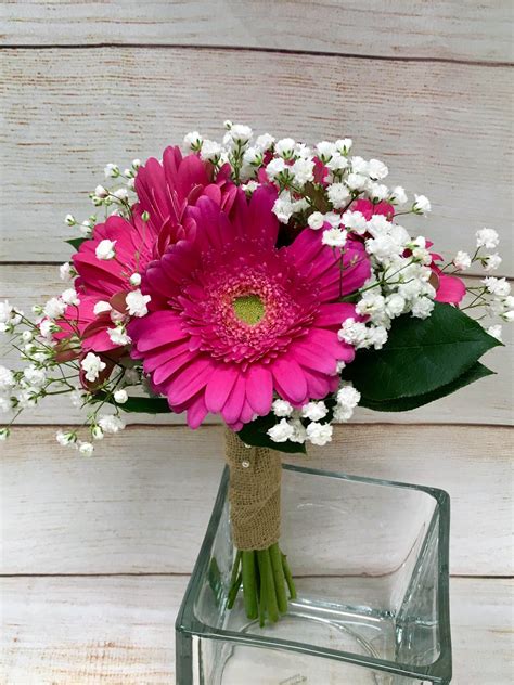 Top 2019 Gerbera Daisy Multicolor One And Only Daisy