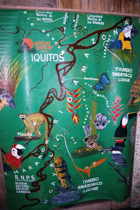 Photos Of Iquitos Peru Amazon Jungle In Feb 2002