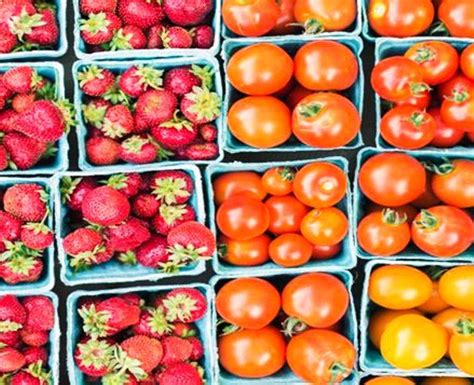 Edible Coating A Preventive Measure To Enhance Shelf Life Of Fruits