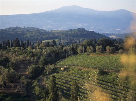 Wine Tasting At Tuscanys Best Wineries Photos Condé Nast Traveler