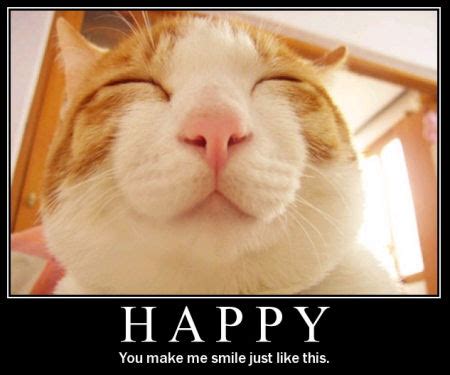 The advantage that images have is that they're among these collections of happy birthday images you'll find the one that suits your case best. The Punt's: Day 8: What makes me happy