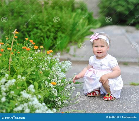 Adorable Little Girl Playing With Flowers Outdoors Stock Image Image