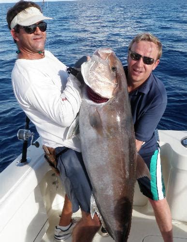 Offshore Giant Amberjack Sport Fishing Islamorada Fishing Charters