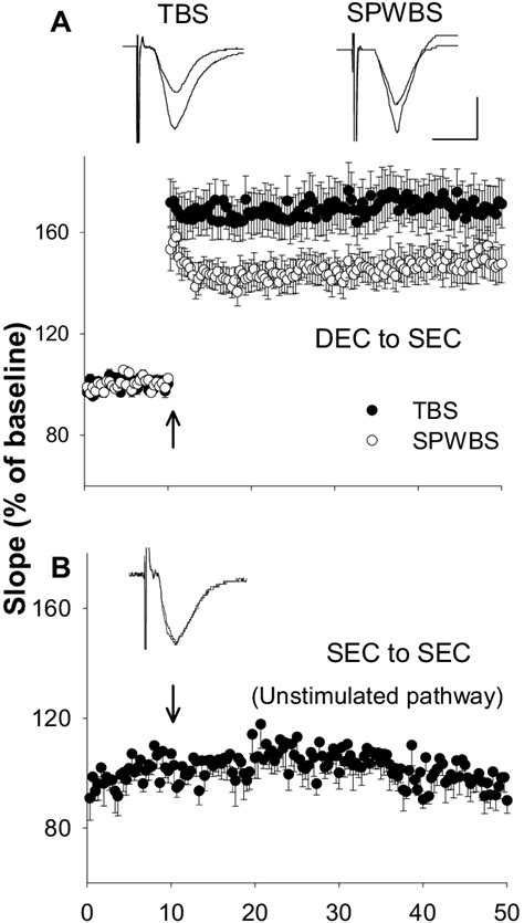 This encounter leads to change in the direction of sun rays known as scattering. LTP induction in deep EC-stimulated pathway. (A) The ...