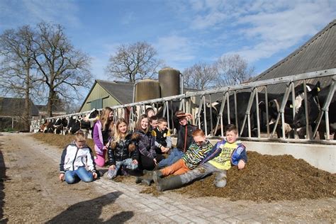 Ruinerwold wordt wereldnieuws als een verborgen boerderij wordt ontdekt, waar jarenlang een gezin in het geheim en ongeregistreerd leeft. Harm Vonckschool bezoekt Boerderij Jalvingh - Ruinerwold ...