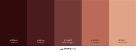 10 Brown Color Palette Inspirations With Names And Hex Codes Inside Colors
