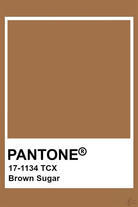 Pantone Brown Sugar Pantone Palette Brown Pantone Pantone Colour