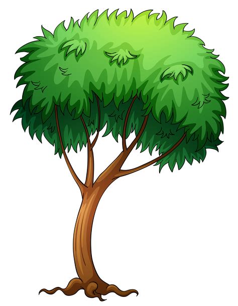 Free Trees Clipart Pictures Clipartix