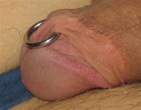 File Frenum Piercing Penis Wikimedia Commons