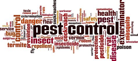 Pest Prevention Pest Control Exterminator Find Out Who Is The Best