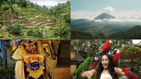 Paket Wisata Ubud Kintamani Full Day Private Wira Tour Bali