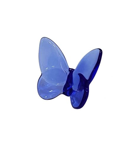 Borboleta cristal azul Camélia