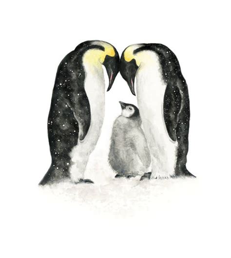 Penguin Print Penguin Art Penguin T Penguin Love Animal Etsy