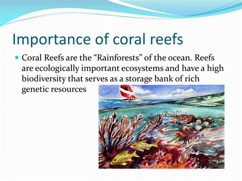 Ppt Marine Biomes Powerpoint Presentation Free Download Id