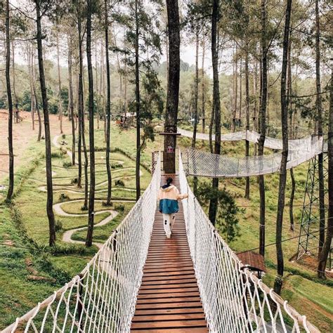 Hutan Wisata Paling Instagramable Di Indonesia