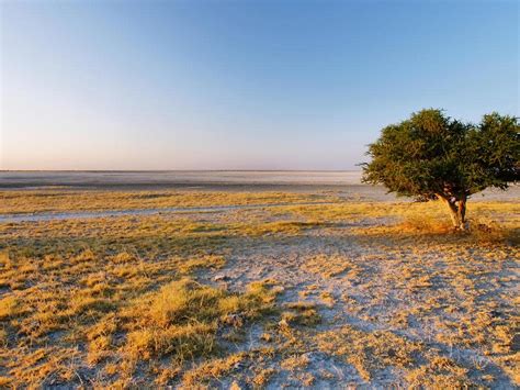 Makgadikgadi Pans National Park Drive Botswana