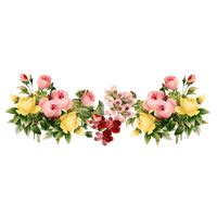 Download Floral Free PNG photo images and clipart | FreePNGImg