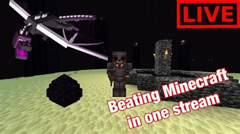 Beating Minecraft In One Stream Youtube
