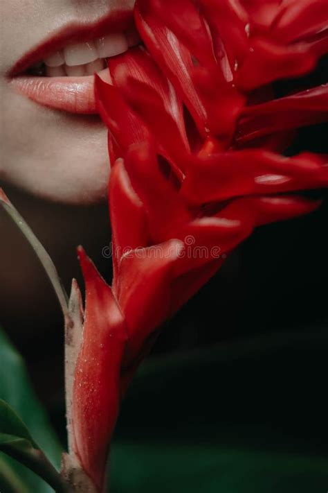 close up beautiful female lips biting red exotic wild beautiful flower stock image image of